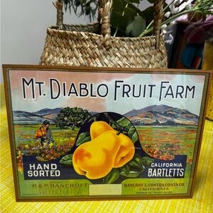 Mount Diablo fruit farm original lithograph Vintage Sign
